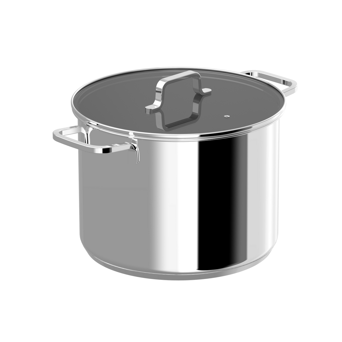 Helix Stainless Steel Covered Stockpot 28 cm